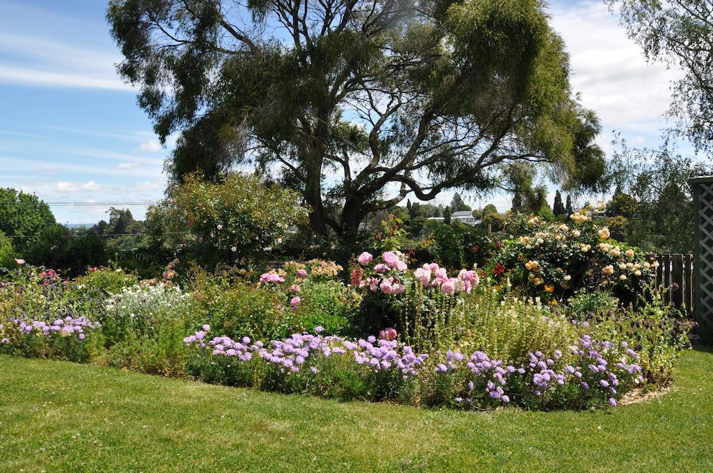 Harbinger House Bed & Breakfast Tauranga Dış mekan fotoğraf