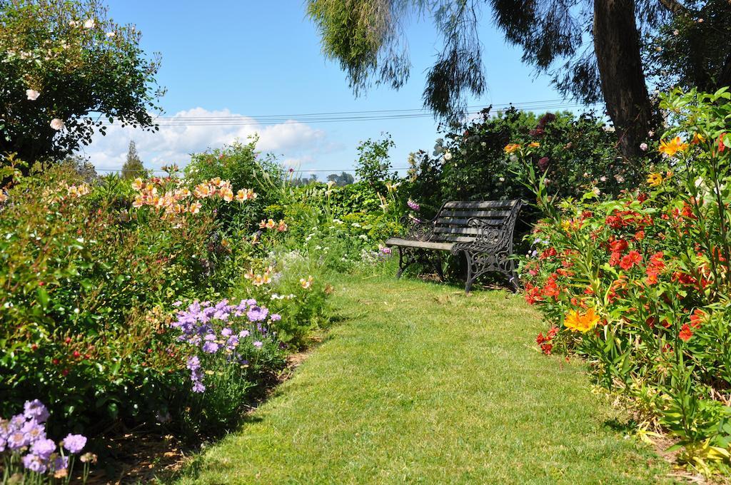 Harbinger House Bed & Breakfast Tauranga Dış mekan fotoğraf