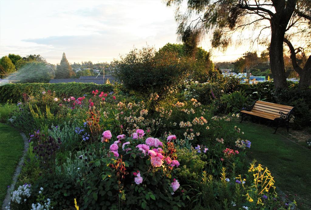 Harbinger House Bed & Breakfast Tauranga Dış mekan fotoğraf